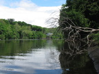 IMG 4761